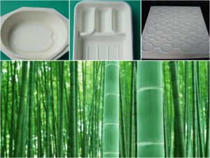 国家发改委支持加快“以竹代塑”发展插图1 国家发改委支持加快“以竹代塑”发展插图1