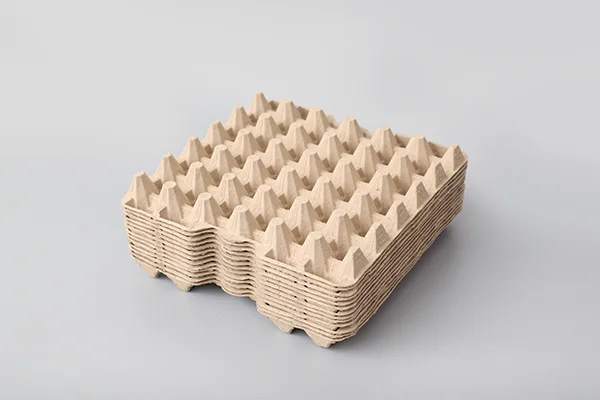 转鼓式蛋托生产线插图3 Egg-Tary-01.webp