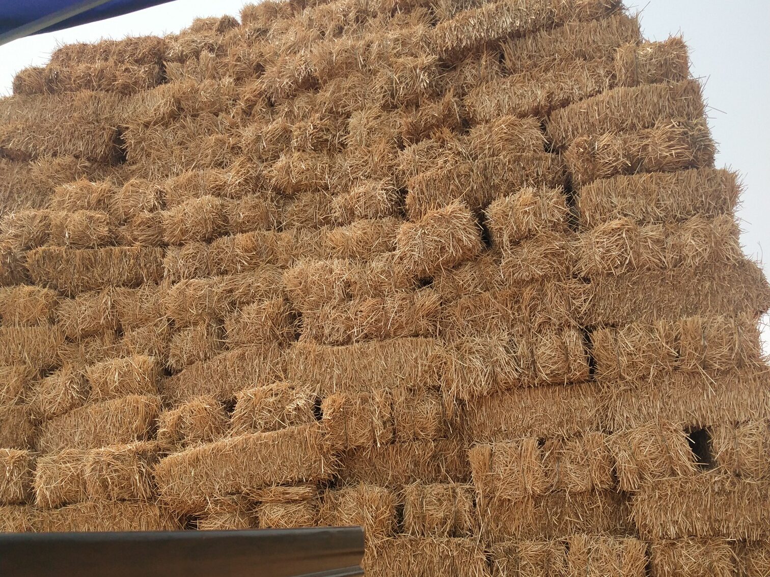 常见的明博官方网站原料特点分析插图2 常见的明博官方网站原料特点分析插图2