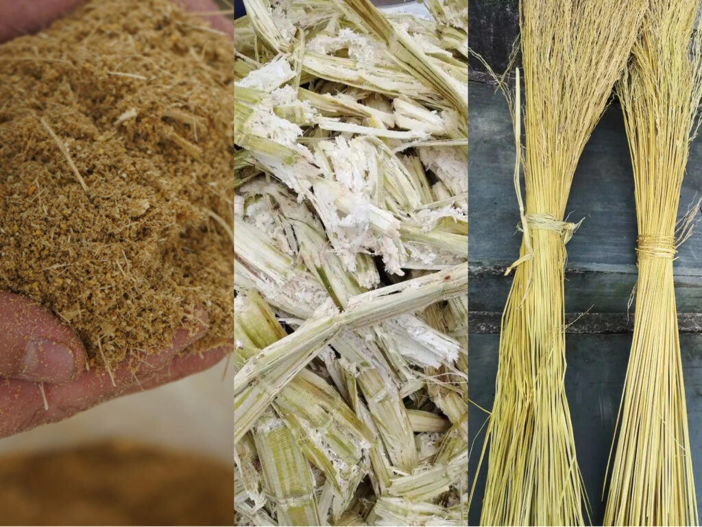 明博官方网站制品真的环保吗?从原料到降解的全生命周期分析插图 明博官方网站制品真的环保吗?从原料到降解的全生命周期分析插图