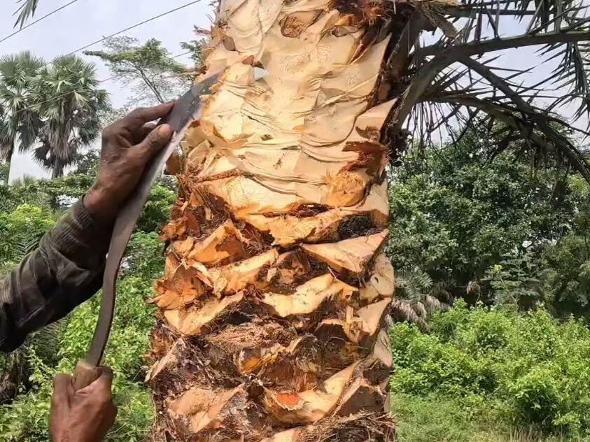 常见的明博官方网站原料特点分析插图5 常见的明博官方网站原料特点分析插图5