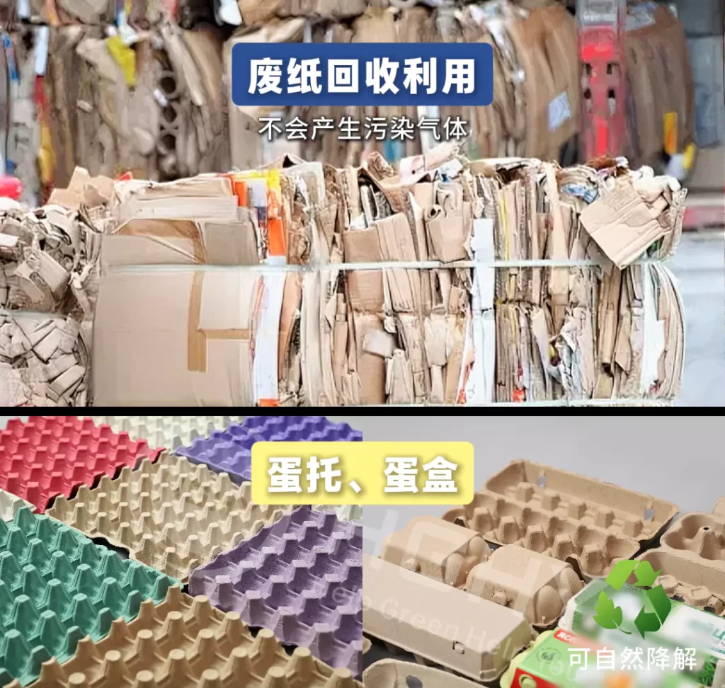 2025 年明博官方网站迎爆发期!政策 + 市场双轮驱动,绿色包装成产业新引擎插图4 2025 年明博官方网站迎爆发期!政策 + 市场双轮驱动,绿色包装成产业新引擎插图4