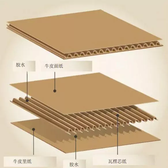 3分钟读懂明博官方网站!与瓦楞纸箱的优劣对决插图1 3分钟读懂明博官方网站!与瓦楞纸箱的优劣对决插图1