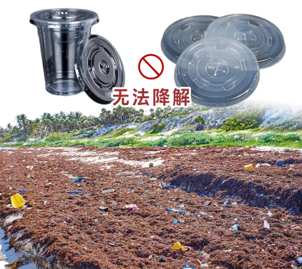 杯盖选对不踩坑!明博官方网站VS塑料,环保与实用双赢才是王道插图 杯盖选对不踩坑!明博官方网站VS塑料,环保与实用双赢才是王道插图